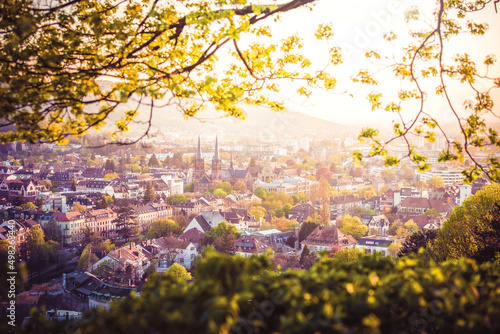 Freiburg von oben mit Bäumen und Natur