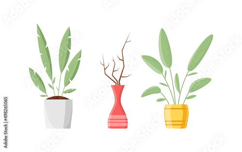 Collection interior decor potted plant and dry branches herbarium isometric icon vector illustration. Set natural houseplant with leaves for cosiness indoor design botanical grow home in ceramic pot
