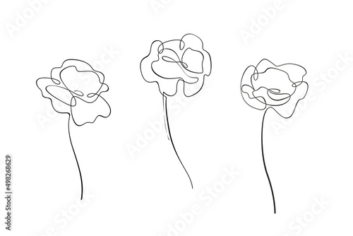 Contour illustration of poppy flower. Сontemporary illustration for cosmetics, perfumeries and food packaging.