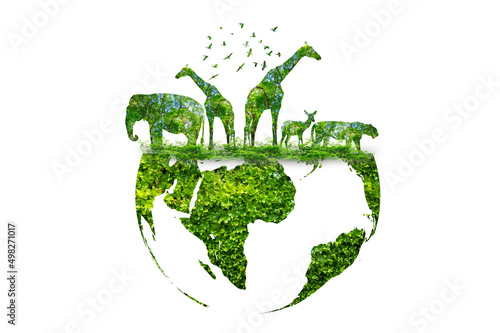 wildlife silhouette on earth wildlife conservation concept photo