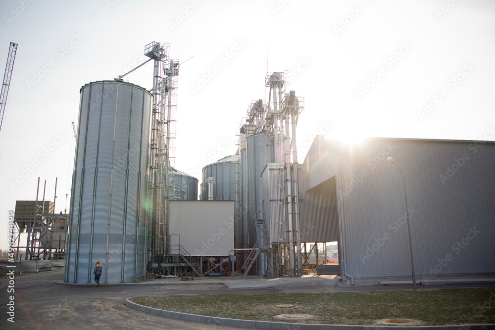 Obraz premium Construction of a feed mill agro-processing plant for processing and silos for drying cleaning and storage of agricultural products, flour, cereals and grain. The lights of a sun.