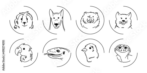 Icons muzzles of pets and birds set. Vector collection of linear illustrations of animals.