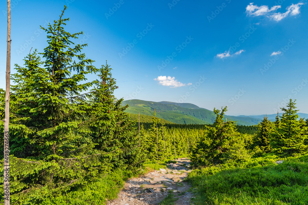 Jeseniky mountains from hiking trail between Cervenohorske sedlo and Svycarna in Czech republic