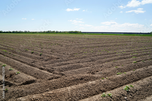 field of soil