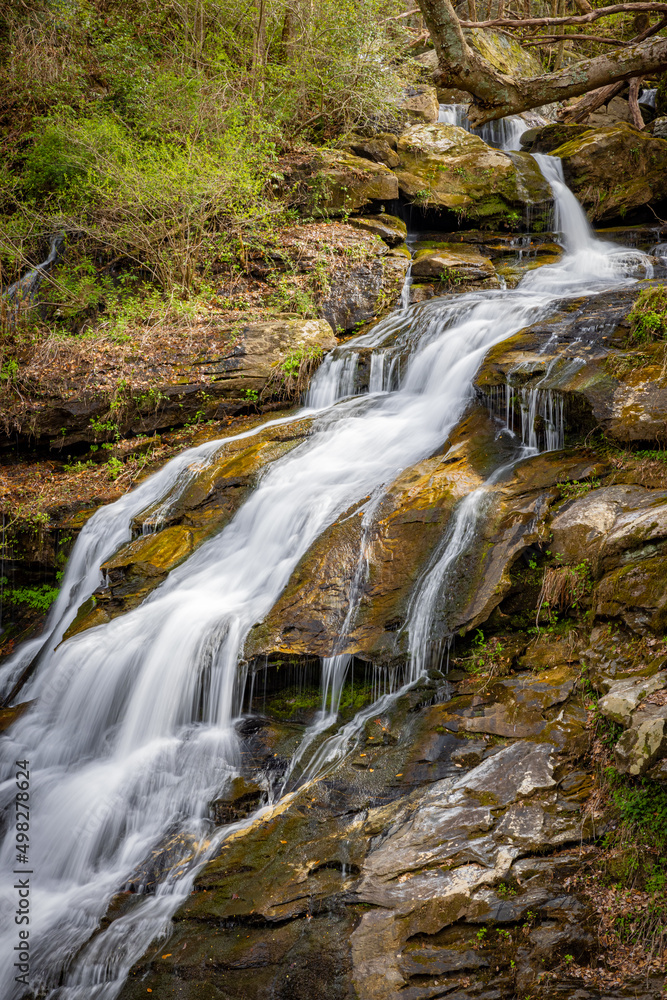 Pearson falls near Saluda, NC flows over rocks through the foresy Pearson falls near Saluda, NC flows over rocks through the foresy