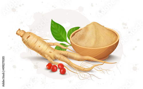 Ginseng root and powder vector illustration with ginseng seeds