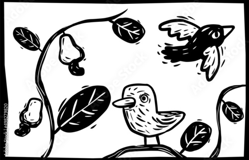 Birds and cashews. Illustrations in the typical woodcut style of cordel literature.