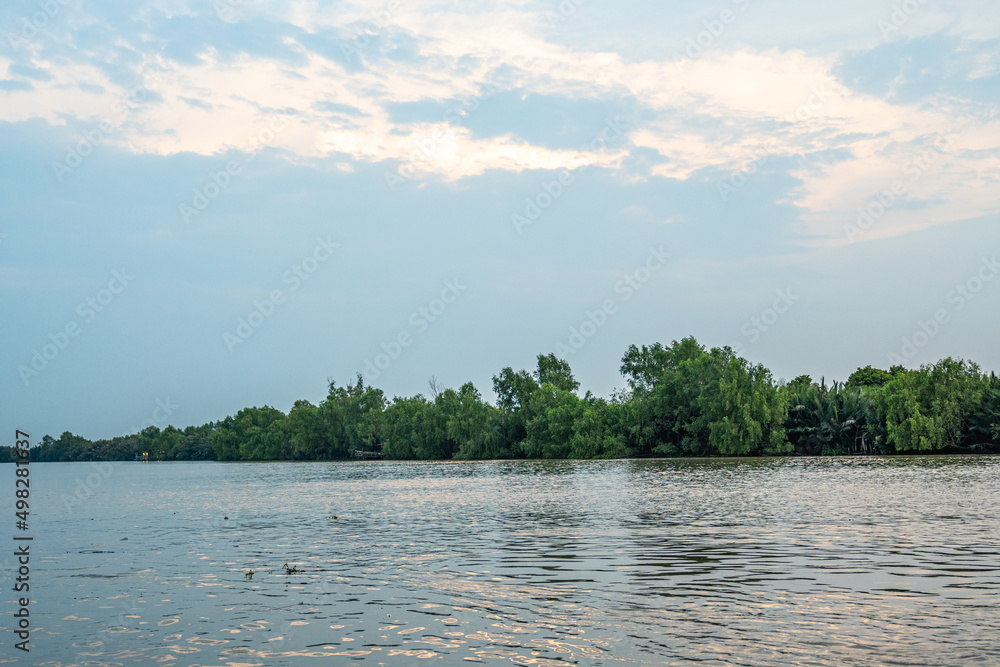 lake and forest