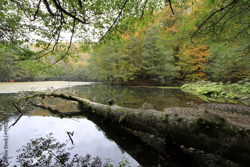 Fall season in Sevenlakes national park (Yedigoller milli parki), Bolu, Turkey photo