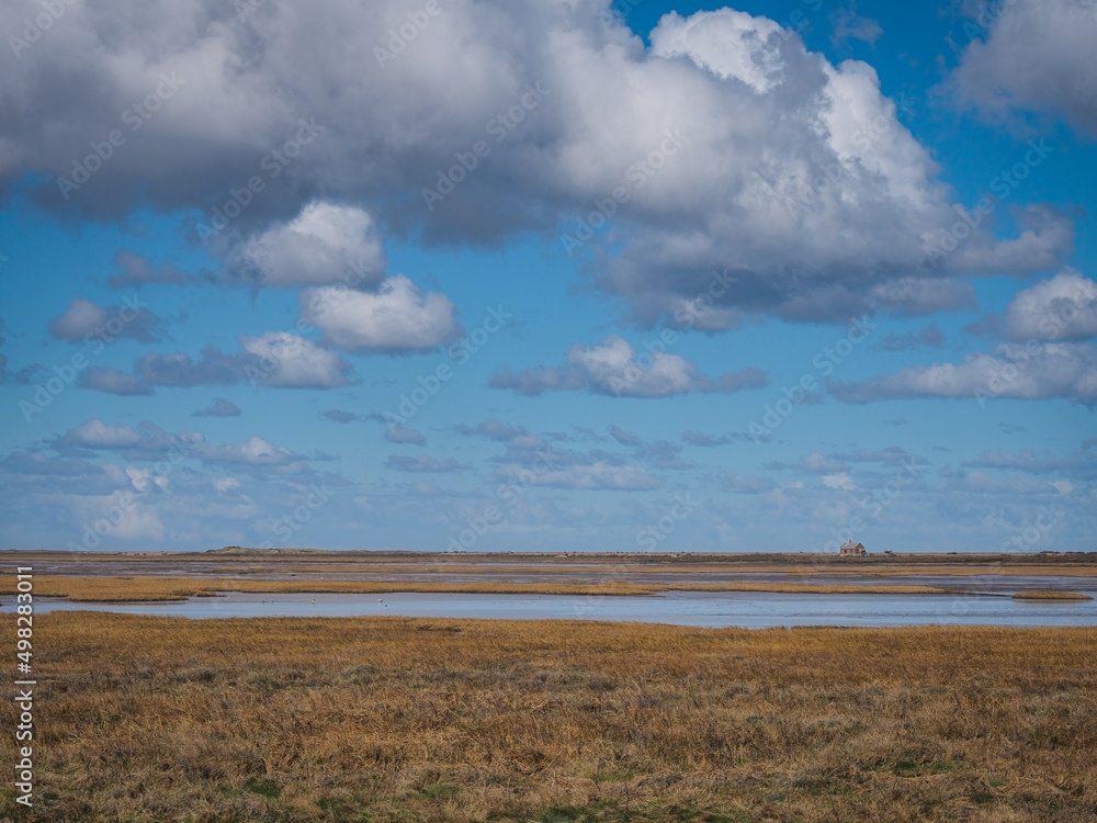 View across the expansive salt marshes to small derelict house in the distance under blue sky and billowing white clouds, Blakeney National Nature Reserve, Norfolk, UK