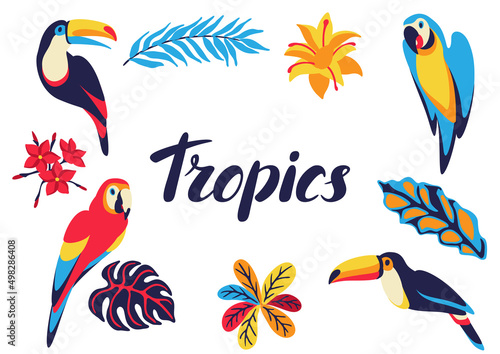 Frame with macaw parrot, toucan and tropical plants. Exotic decorative birds, flower anf leaves.