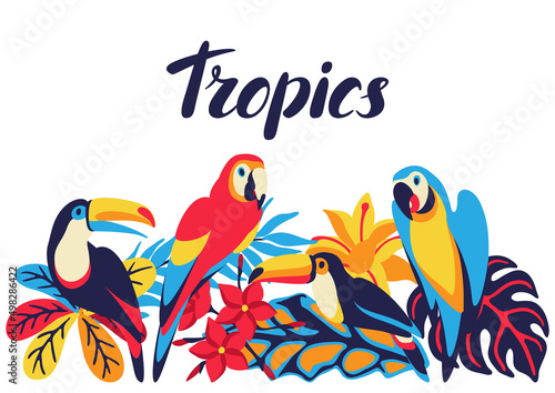 Card with macaw parrot, toucan and tropical plants. Exotic decorative birds, flowers anf leaves.