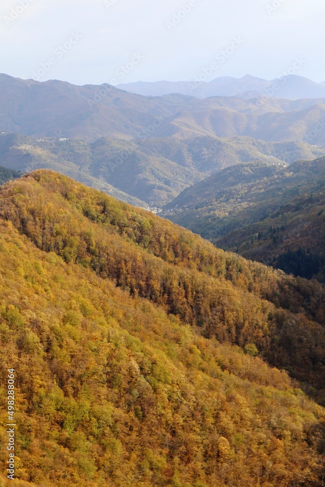 Fototapeta premium autumn in the mountains