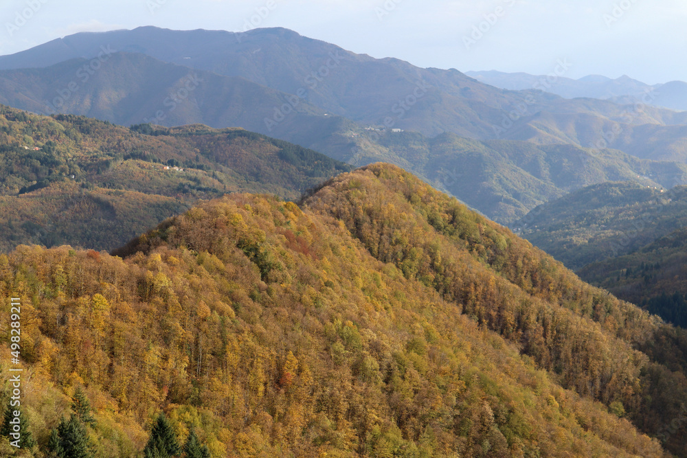 autumn in the mountains