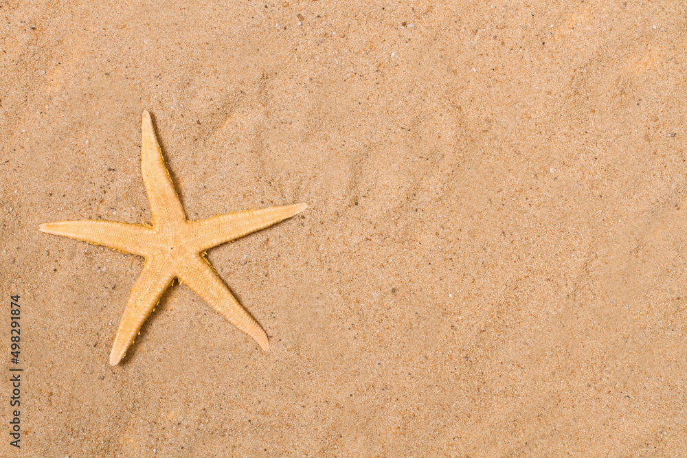 Estrella de mar sobre un fondo de arena. Vista superior y de cerca. Copy space. Concepto: Viaje, vacaciones Estrella de mar sobre un fondo de arena. Vista superior y de cerca. Copy space. Concepto: Viaje, vacaciones