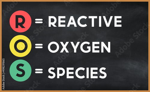 Fotografija reactive oxygen species(ros) on chalk board