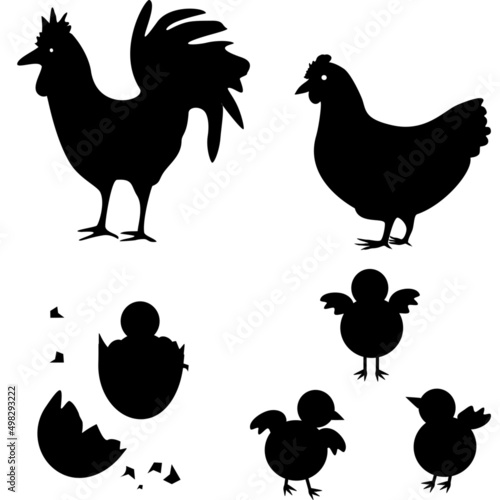 Poultry. Rooster chicken birds Silhouette. Abstract on white background