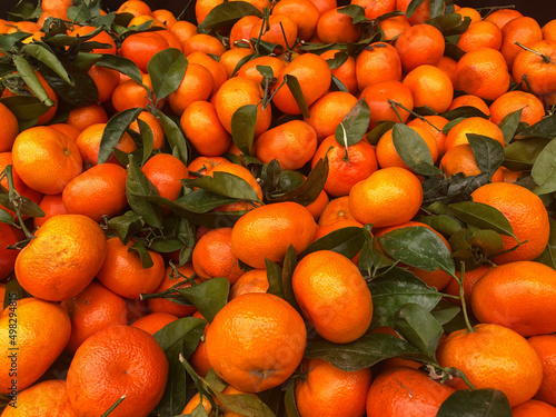 close up of a large selection of ripe orange tangerines from above no people