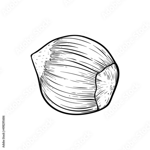 Hazelnut one simple icon in sketch style. Hatched nuts for packaging or labels