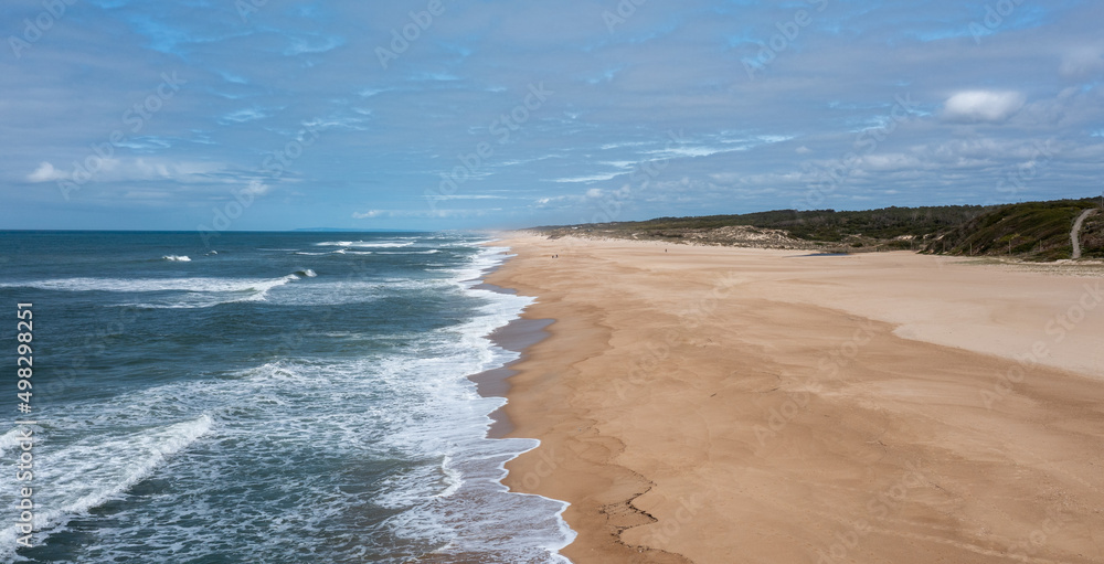 drone view of a wide empty and endless golden sand beach with high sand dunes and vegetation behind drone view of a wide empty and endless golden sand beach with high sand dunes and vegetation behind