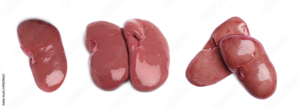 Set with fresh raw kidneys on white background, top view. Banner design Set with fresh raw kidneys on white background, top view. Banner design