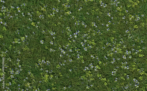 Top view of the meadow full of veronica flowers. 3D illustration