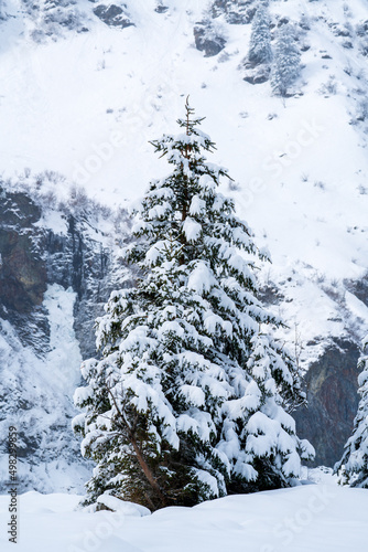 snow fall at a misty winter day in the hohe tauern national park in austria