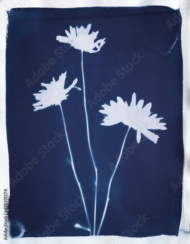 Cyanotype 