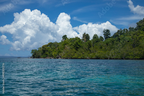 Landscape of a tropical island in the Raja Ampat Islands, West Papua, covered with jungle and green trees, under a blue sky full of cumulonimbus, Indonesia