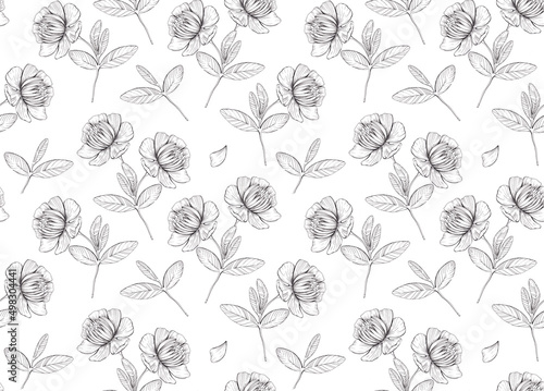 Hand drawn seamless pattern of chrysanthemum flowers and petals in artistic style