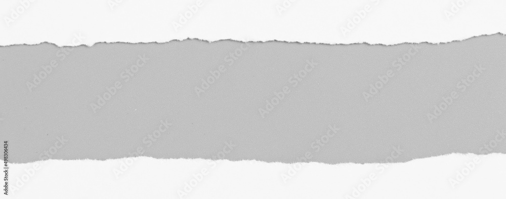 White torn paper on gray background. collection paper rip. White torn paper on gray background. collection paper rip.