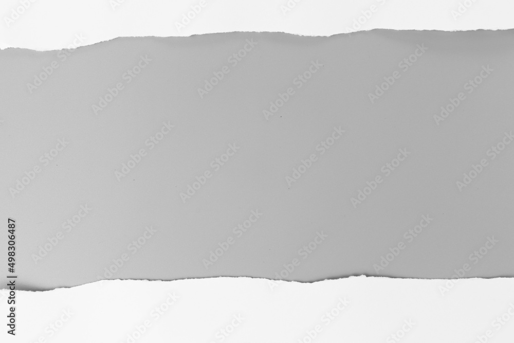 white torn paper on gray background. collection paper rip white torn paper on gray background. collection paper rip