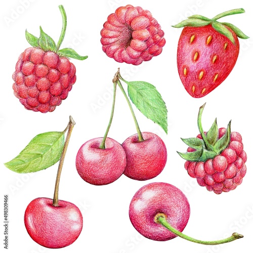 A set of red berries, cherries and raspberries. Botanical illustration. Hand-drawn, colored pencils