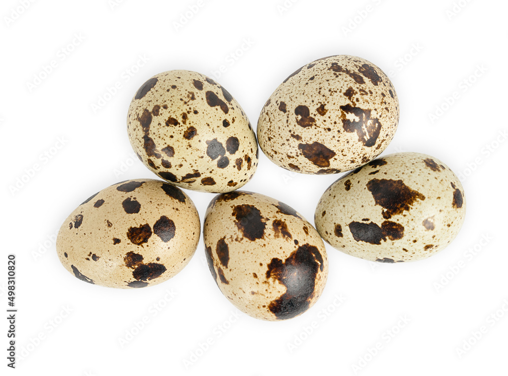 Quail eggs isolated on white background. Directly above Quail eggs isolated on white background. Directly above