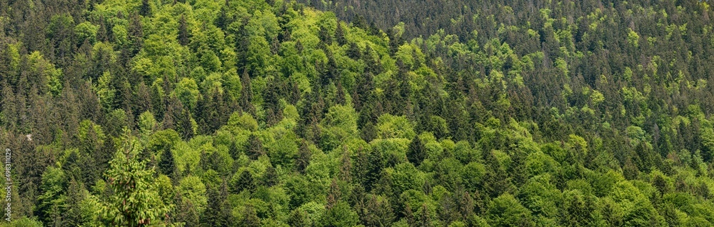 Green mixed forest pattern. Panoramic Top View Green Forest Landscape in Ukraine. Natural green background. Aerial top view forest. Texture of forest view from above. Green mixed forest pattern. Panoramic Top View Green Forest Landscape in Ukraine. Natural green background. Aerial top view forest. Texture of forest view from above.