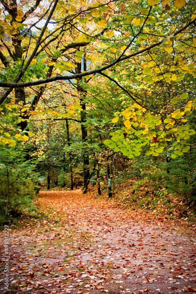 Fototapeta premium Geres Thermal Park in north of Portugal