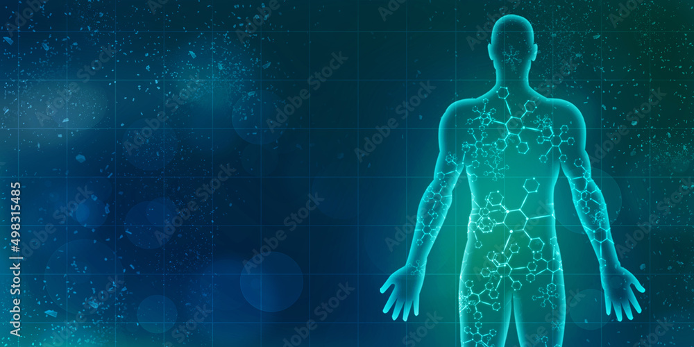 2d illustration Human Male Muscle Body