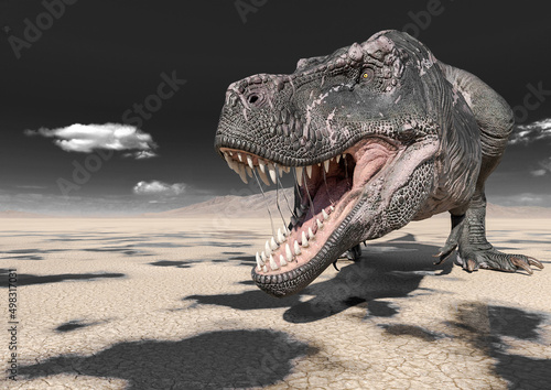 Fototapeta Naklejka Na Ścianę i Meble -  tyrannosaurus rex is drinking water on desert with copy space