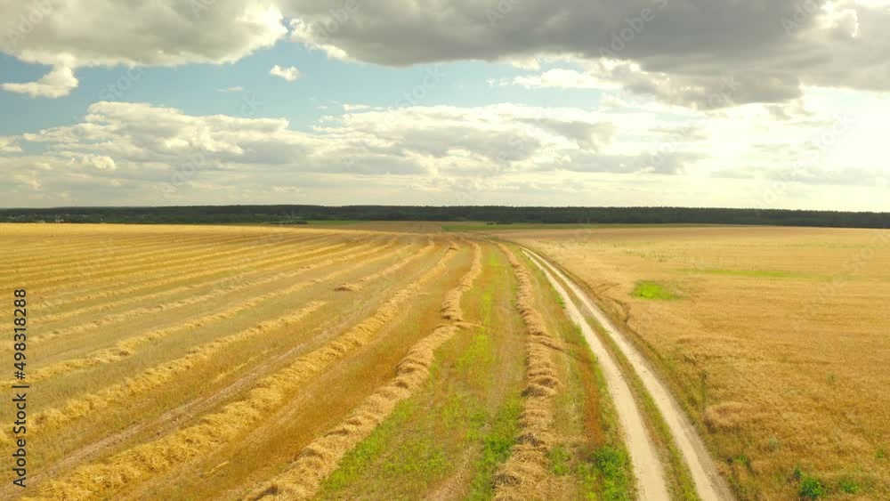 4K Aerial View Of Country Road. Summer Hay Straw Field Landscape In Evening. Hay in Sunrise Time. Natural Agricultural Background Backdrop Harvest Season. 4K Aerial View Of Country Road. Summer Hay Straw Field Landscape In Evening. Hay in Sunrise Time. Natural Agricultural Background Backdrop Harvest Season.