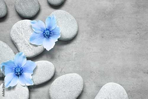 Spa stones and blue flowers on the grey background.