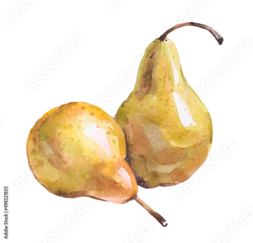 Pears. Watercolor illustrationon white background photo