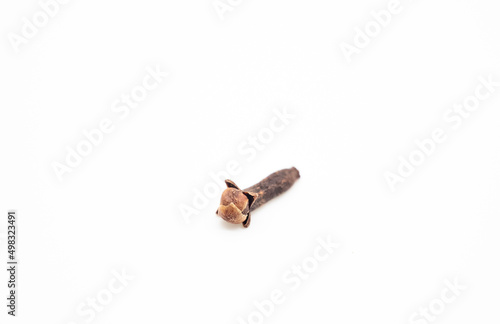 Dry spice cloves isolated on white background © Shahadat222