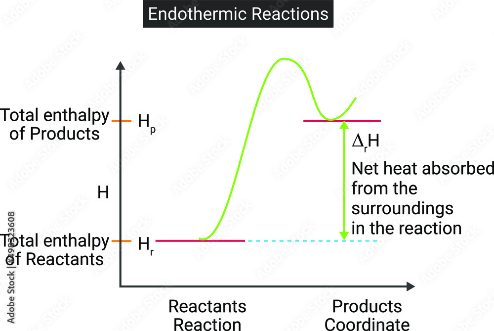 Enthalpy Diagram For Endothermic Reactions Stock Vector Adobe Stock Enthalpy Diagram For Endothermic Reactions Stock Vector Adobe Stock