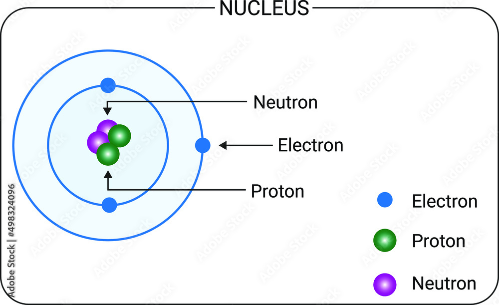 Protons And Neutrons Taken Together Are Known As Nucleons nucleus protons-and-neutrons-taken-together-are-known-as-nucleons-nucleus