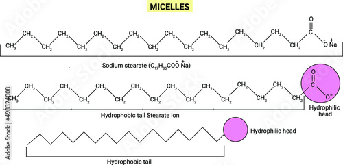 Micelles are the clusters or aggregated particles formed by association of colloid in solution