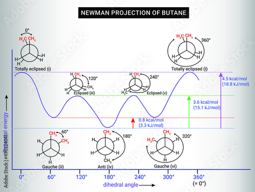 Newman Projection of Butane
