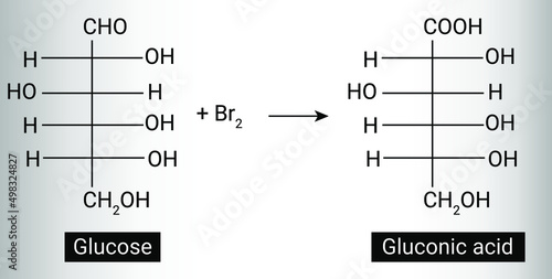 Structure of Gluconic and Gluconic acid