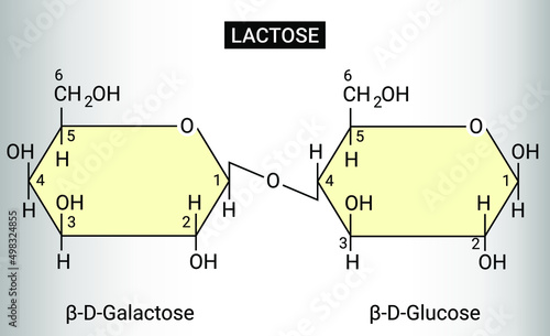 Structure of lactose