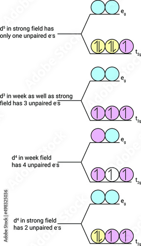 Structure of unpaired electrons