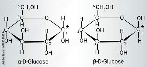 Structure of α-D-Glucose and β-D-Glucose